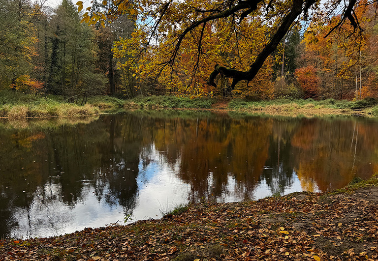 Schlosspark Rauischholzhausen