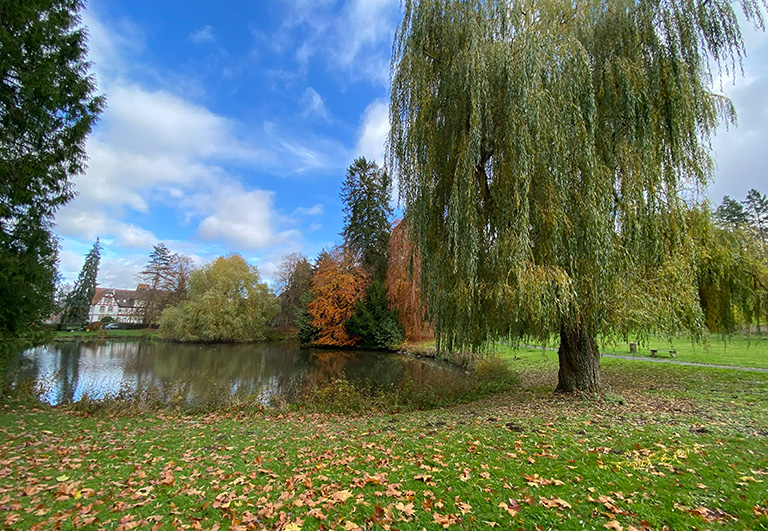 Schlosspark Rauischholzhausen