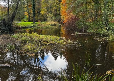 Schlosspark Rauischholzhausen