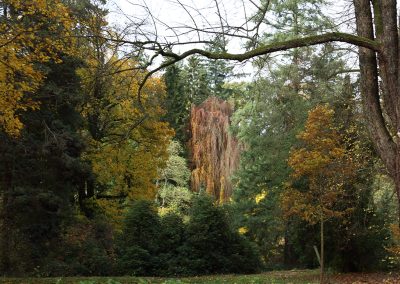 Schlosspark Rauischholzhausen