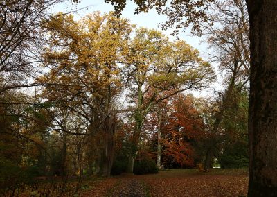 Schlosspark Rauischholzhausen