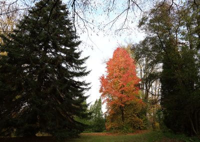Schlosspark Rauischholzhausen