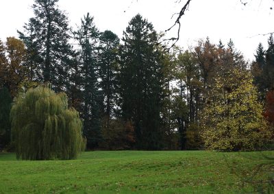 Schlosspark Rauischholzhausen