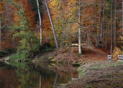 Schlosspark Rauischholzhausen