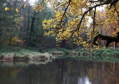 Schlosspark Rauischholzhausen