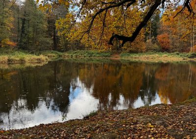 Schlosspark Rauischholzhausen