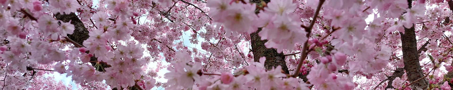 Selbstfürsorge mit den Imaginären Körperreisen
